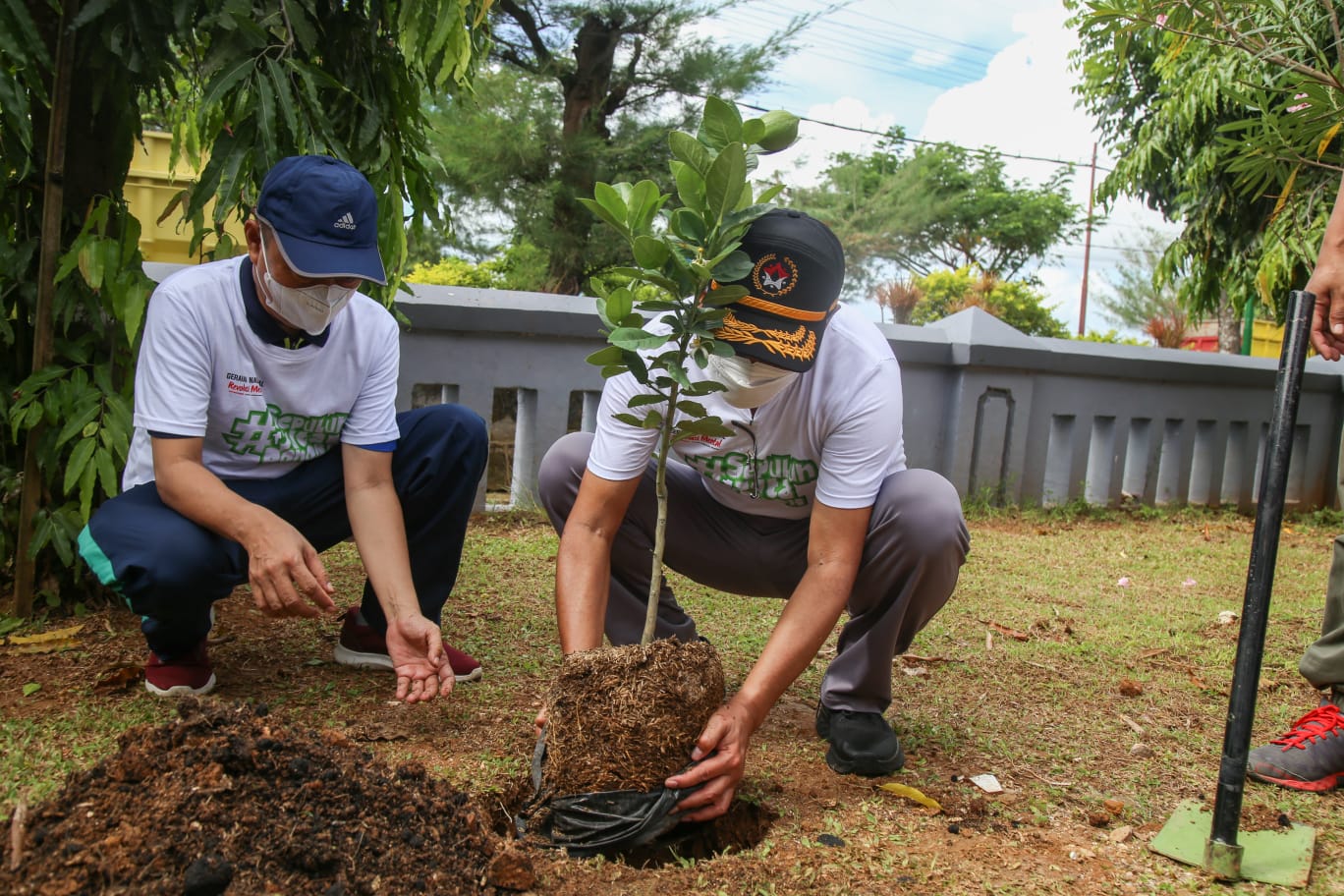 CARA MENANAM TANAMAN YANG BAIK DAN BENAR